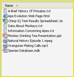file name extension