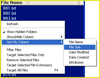 file sort order